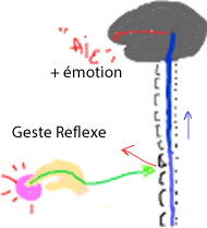 Dessin du chemin de la douleur