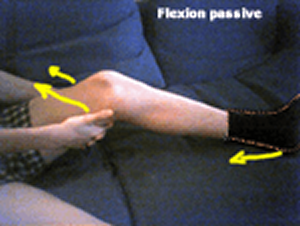 Travail de la flexion en passif