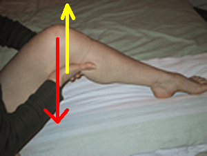 Contraction isométrique du quadriceps à 90 degrés (genou fléchi)